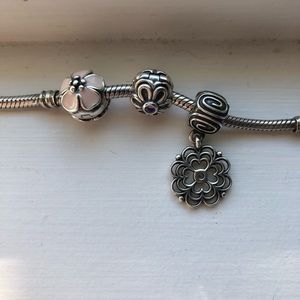 Pandora clip charms